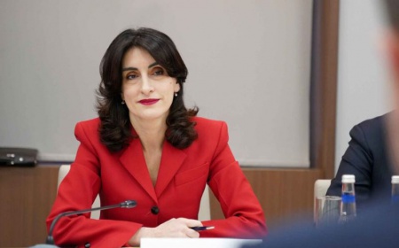 ,,ზოგადად, დეზინფორმაციასთან ბრძოლა ნამდვილად არის გამოწვევა''- მაკა ბოჭორიშვილი